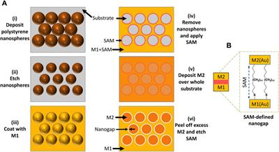 Detection of environmental nanoplastics via surface-enhanced Raman spectroscopy using high-density, ring-shaped nanogap arrays